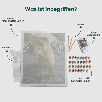 Was ist in unseren Malen nach Zahlen Kits von miicreative inbegriffen? Die Leinwand mit vorgedruckten Zahlen, 3 Pinsel, ein kleines Vorschaubild, alle benötigten Farben und ein Referenzbild.